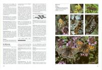 Schmetterlinge und ihre Lebensräume
